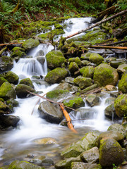 Fototapeta premium Small Falls