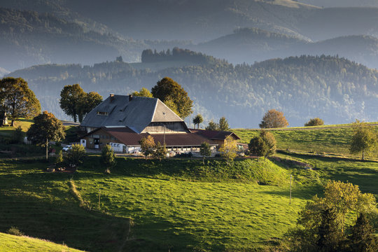 Bauernhof bei St.Peter im Schwarzwald
