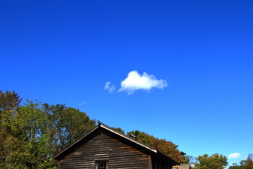 Fototapeta premium 札幌の公園の青い空と白い雲の風景