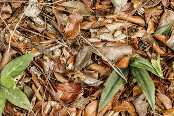 texture background pictures