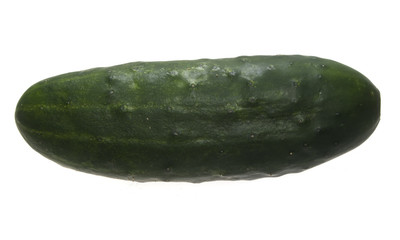 cucumber isolated on white background