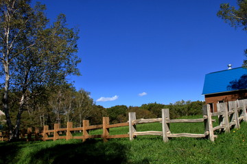 Fototapeta na wymiar 札幌の青い空と白い雲の牧場の風景