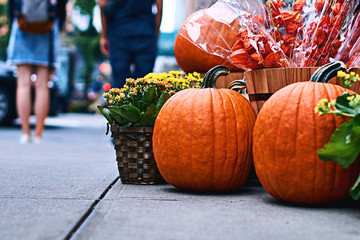Halloween arrangement in front of the street shop in New York with beautiful orange pumpkins, physalis alkekengi or bladder cherry or Chinese lanterns, yellow mums and other decorations
