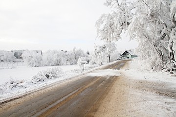 Trees covered in snow along a country road