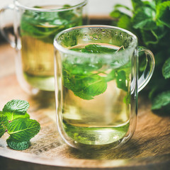 Hot herbal mint tea drink in glass mugs over wooden tray with fresh garden mint, selective focus,...
