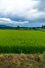 御牧原