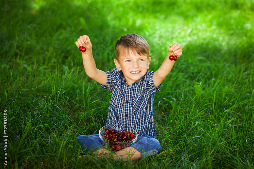 Wall mural little boy with cherry on green grass