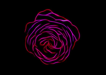 Abstract image of a rose in the form of glowing neon lines.
