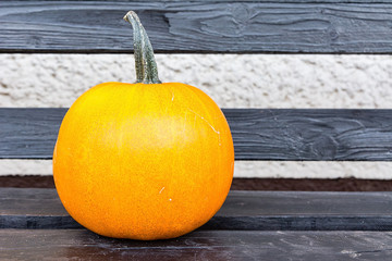 Pumpkin on the wooden bench
