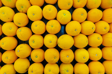 The many oranges