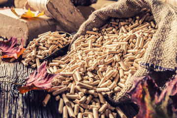 Wooden pressed pellets and briquettes from biomass.