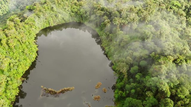 Rising over Laguna Wawa Sumaco at dawn, a volcanic crater lake surrounded with misty montane rainforest. In the Ecuadorian Amazon.