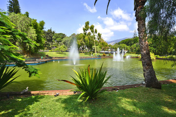 Tropical Santa Catarina park with pond and fountains, Funchal, Madeira Island, Portugal