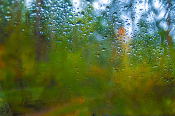 Water blue drops of rain on window. Blur autumn forest in background. Autumnal rainy dark landscape.