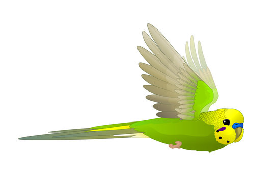recommend clip art: vector cartoon animal clip art