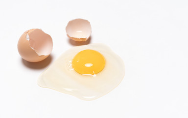 Egg on white background
