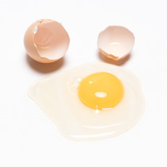 Egg on white background