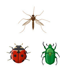 Vector design of insect and fly sign. Collection of insect and element vector icon for stock.