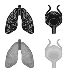 Vector illustration of body and human symbol. Collection of body and medical stock symbol for web.