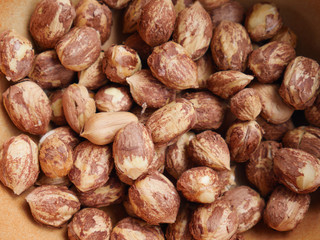 Hazelnut kernel - background