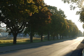 Obraz premium Autum road