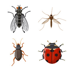 Vector design of insect and fly icon. Collection of insect and element vector icon for stock.
