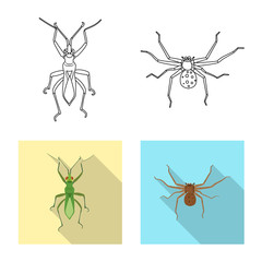 Vector illustration of insect and fly icon. Collection of insect and element vector icon for stock.