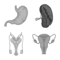 Isolated object of body and human sign. Collection of body and medical stock symbol for web.