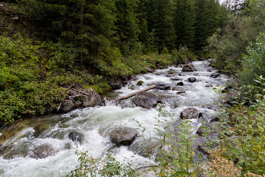 Mountain river landscape. Oasis in the desert. Trees and mountains on the banks of the river Khovd at Western Mongolia. Khovd valley
