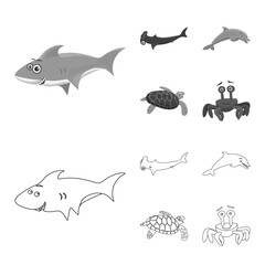 Vector design of sea and animal icon. Set of sea and marine stock vector illustration.