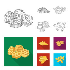 Isolated object of pasta and carbohydrate icon. Set of pasta and macaroni stock vector illustration.