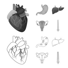 Vector illustration of body and human icon. Set of body and medical stock vector illustration.