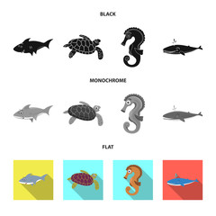 Vector illustration of sea and animal icon. Collection of sea and marine stock vector illustration.