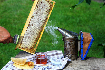 honey comb with honey made from bees on wooden grey rustic background.Beekeeper uncapping honeycomb with special beekeeping fork. chimney beekeeper. outdoors. Beekeeping concept