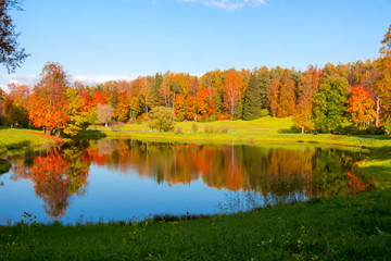 Golden fall (mellow autumn) in Pavlovsky park, Pavlovsk, Saint Petersburg, Russia