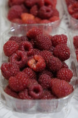 Barquette de framboises