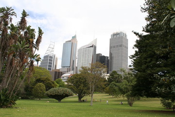 sydney central business district
