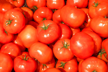 ripe bright red tomatoes background