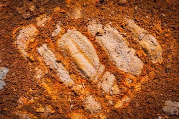 Natural background of petrified lava on the coast of the island. Madeira. Portugal