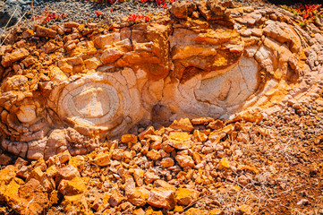 Natural background of petrified lava on the coast of the island. Madeira. Portugal
