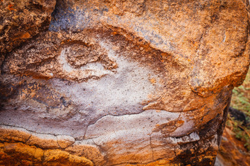Natural background of petrified lava on the coast of the island. Madeira. Portugal