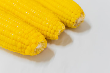 Three Fresh corn on white table, closeup.