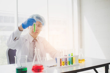 Senior scientist are examining the results with a test tube in a science lab. Researcher working in...