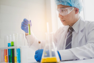 Senior scientist are examining the results with a test tube in a science lab. Researcher working in the laboratory.