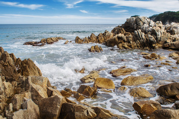 Beautiful panorama of pine forest on the coast. Rocks and seashore