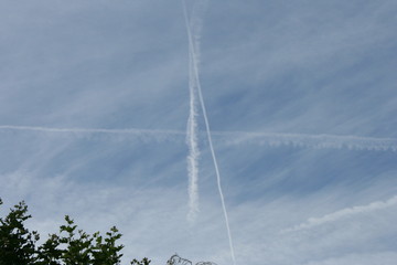 anarchy sky