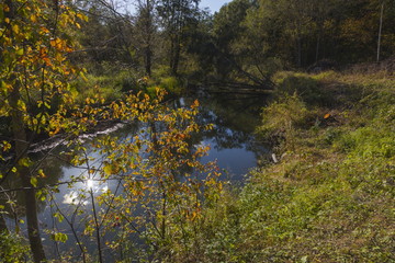 Forest River in the autumn forest