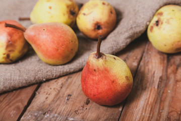 Several ripe pears lie on canvas fabric