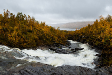 Autumn rapids in Swedish mountains