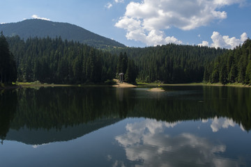 Synevir high altitude lake and forest is reflected in calm water at summer day